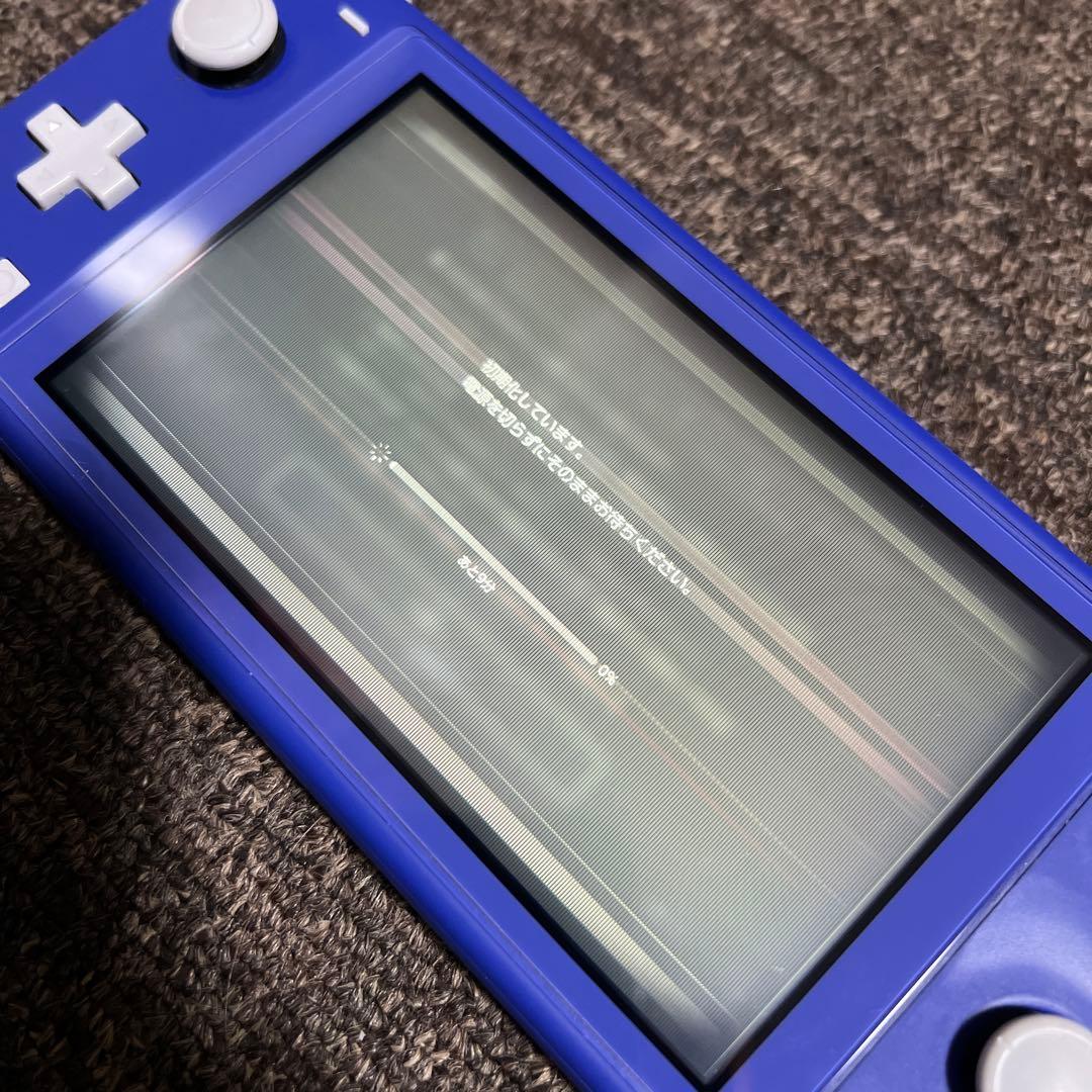 【ジャンク品】Switchライト本体のみ