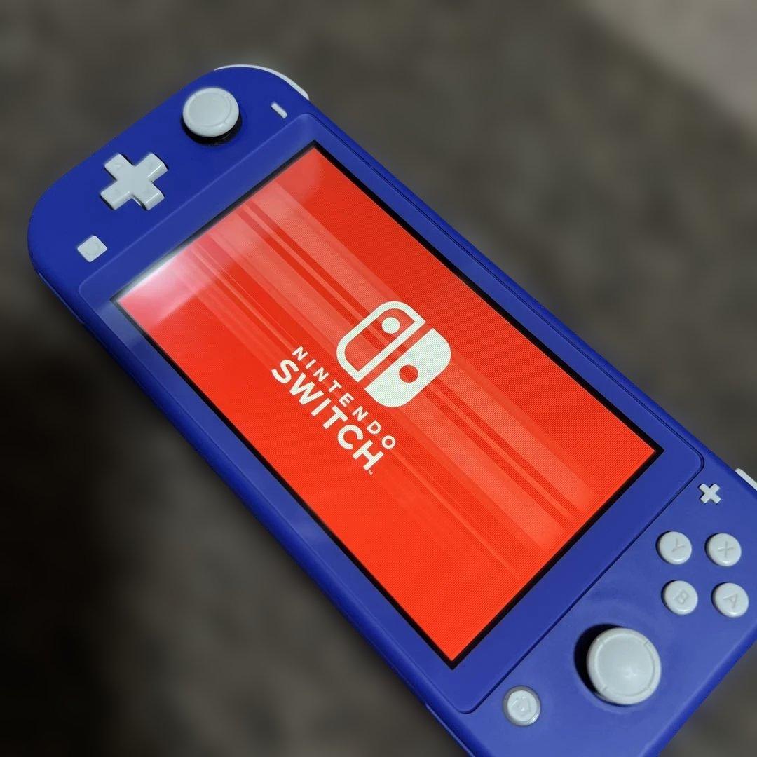 【ジャンク品】Switchライト本体のみ