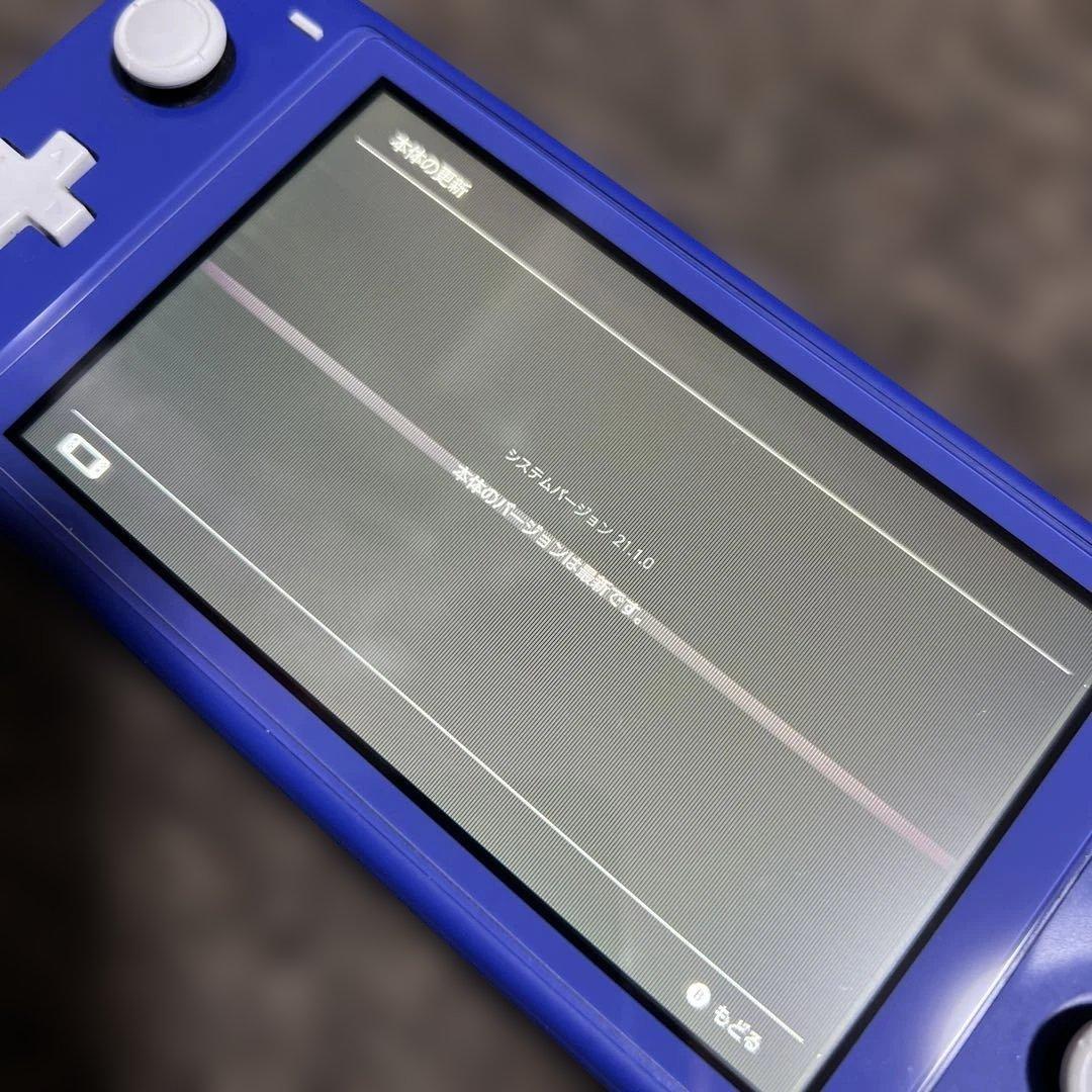 【ジャンク品】Switchライト本体のみ