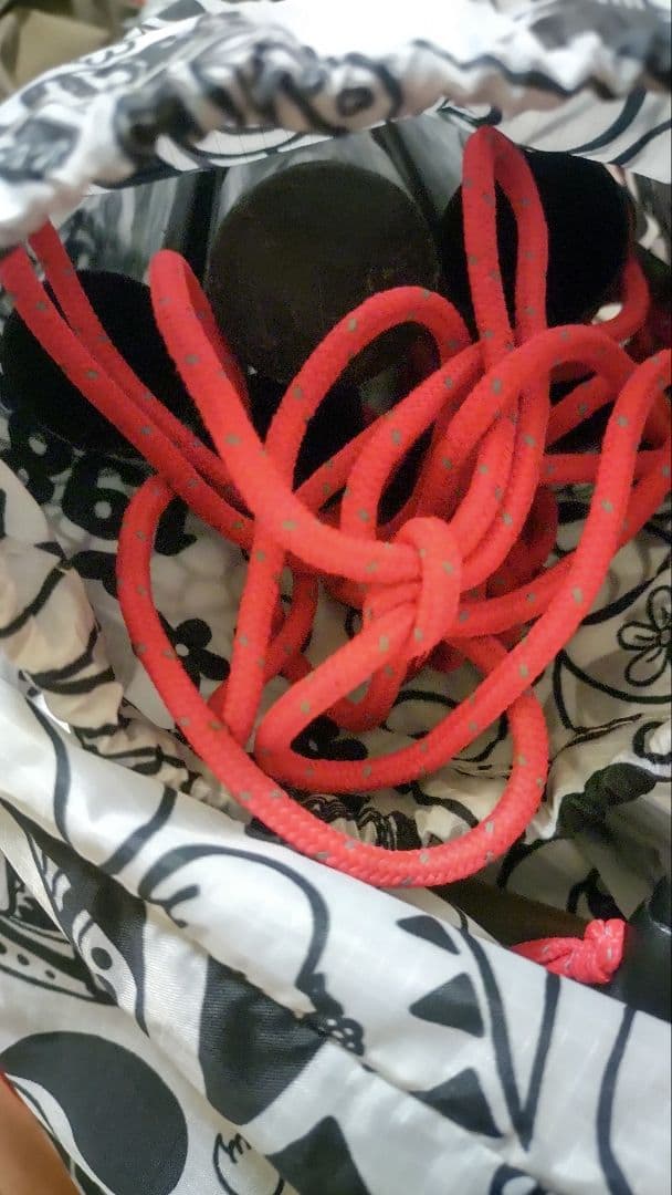 チャムス 完売品 ワンポールテント　ベルテント