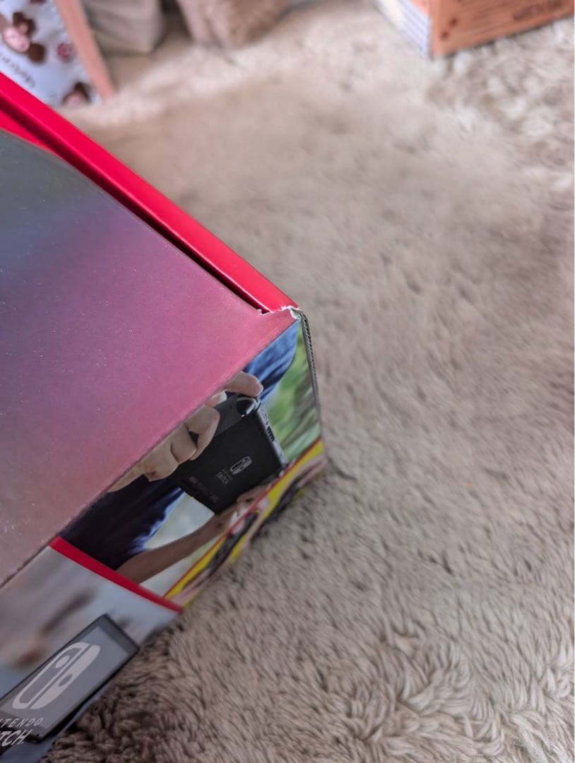 Nintendo Switch グレー 本体 〈期間限定お値下げ中〉