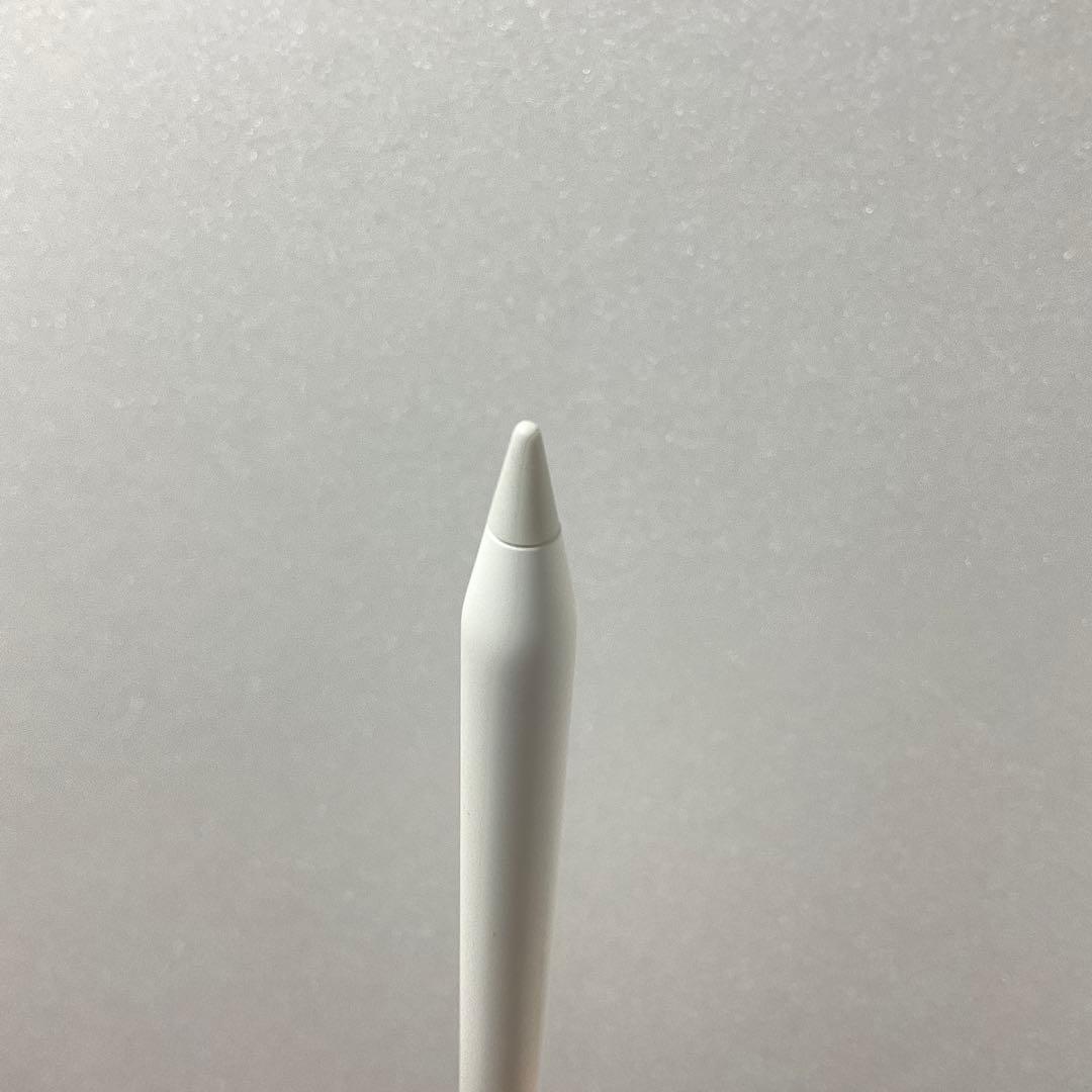 iPadアクセサリー Apple Pencil Type C