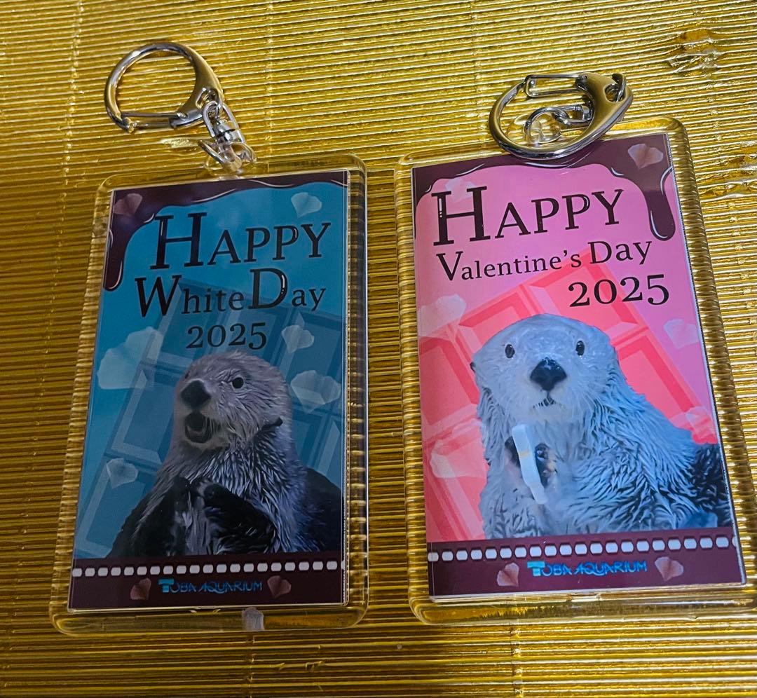 鳥羽水族館⭐️ラッコ⭐️キラ✖️メイ⭐️キーホルダー⭐️４種８個セット
