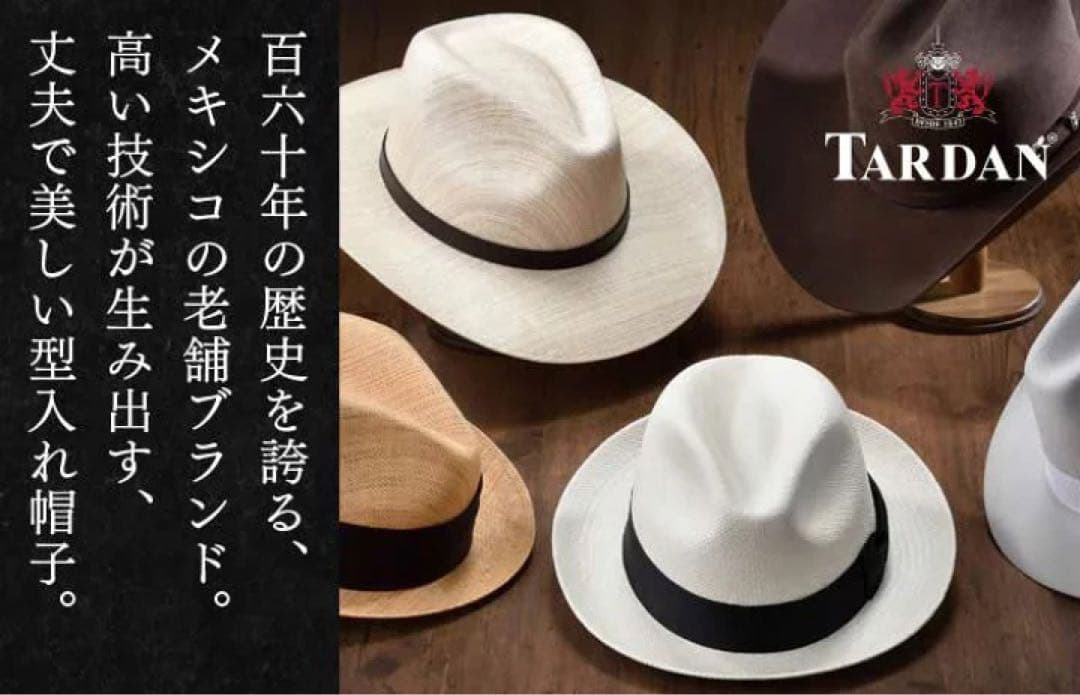 【極美品】 TARDAN ウールハット ボーターハット