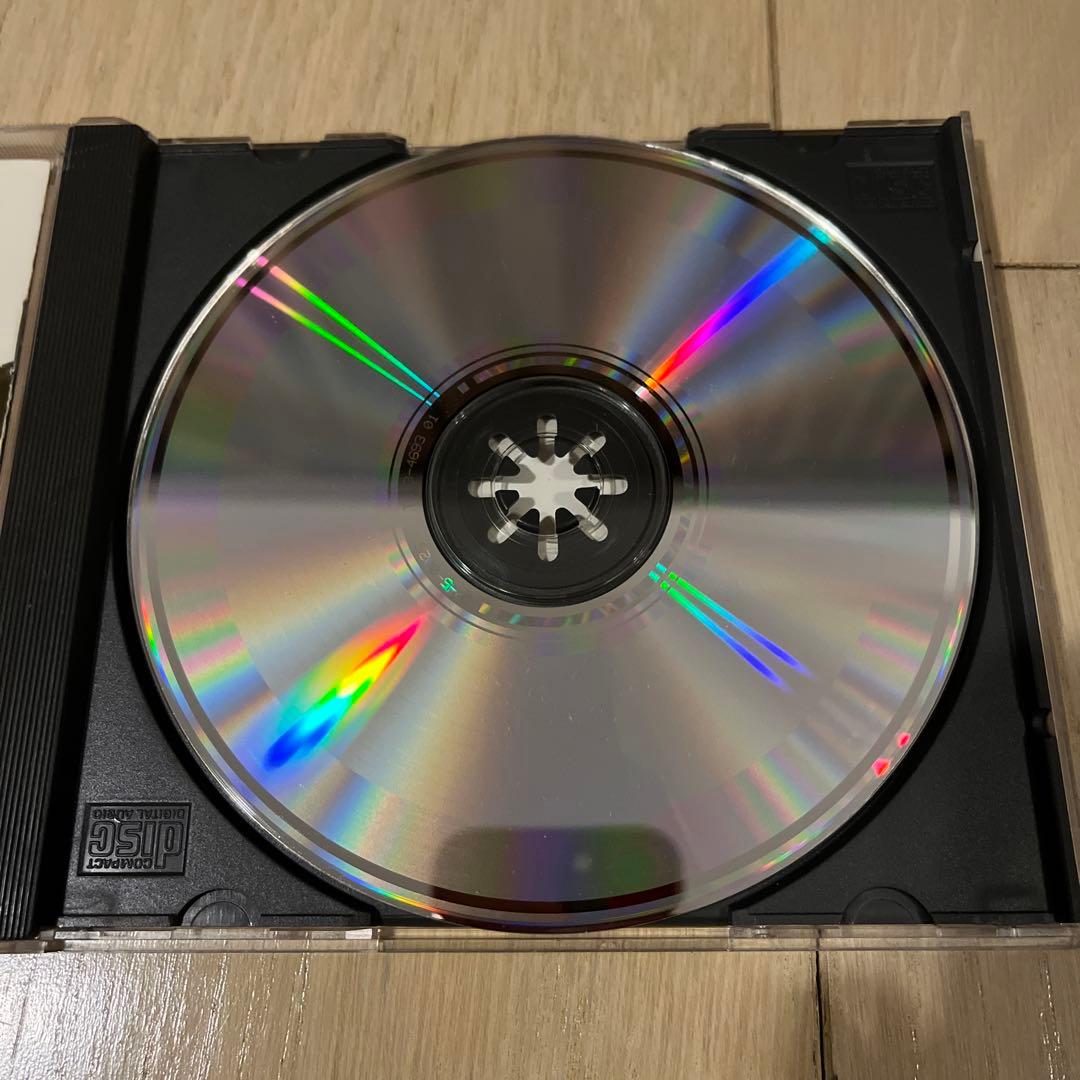 Leslie Cheung レスリー・チョン　張國榮 Leslie