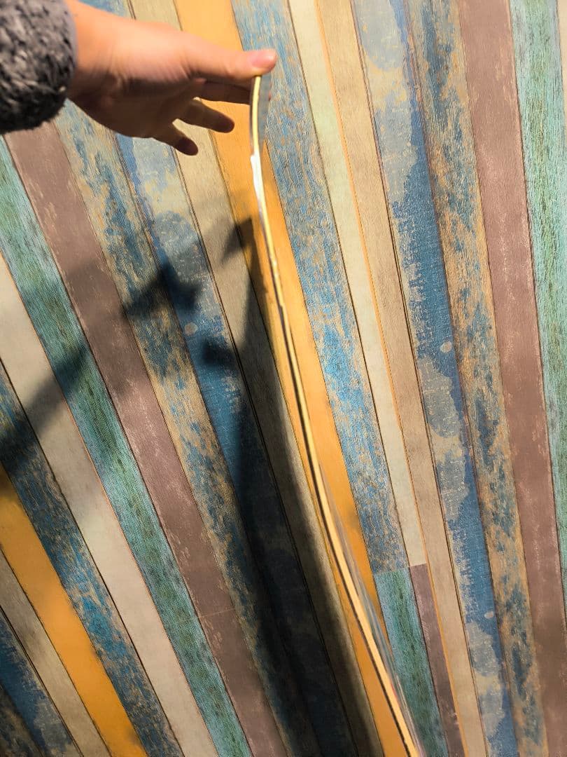 シグナル　Park Rocker 　148cm スノーボード　カバー付き