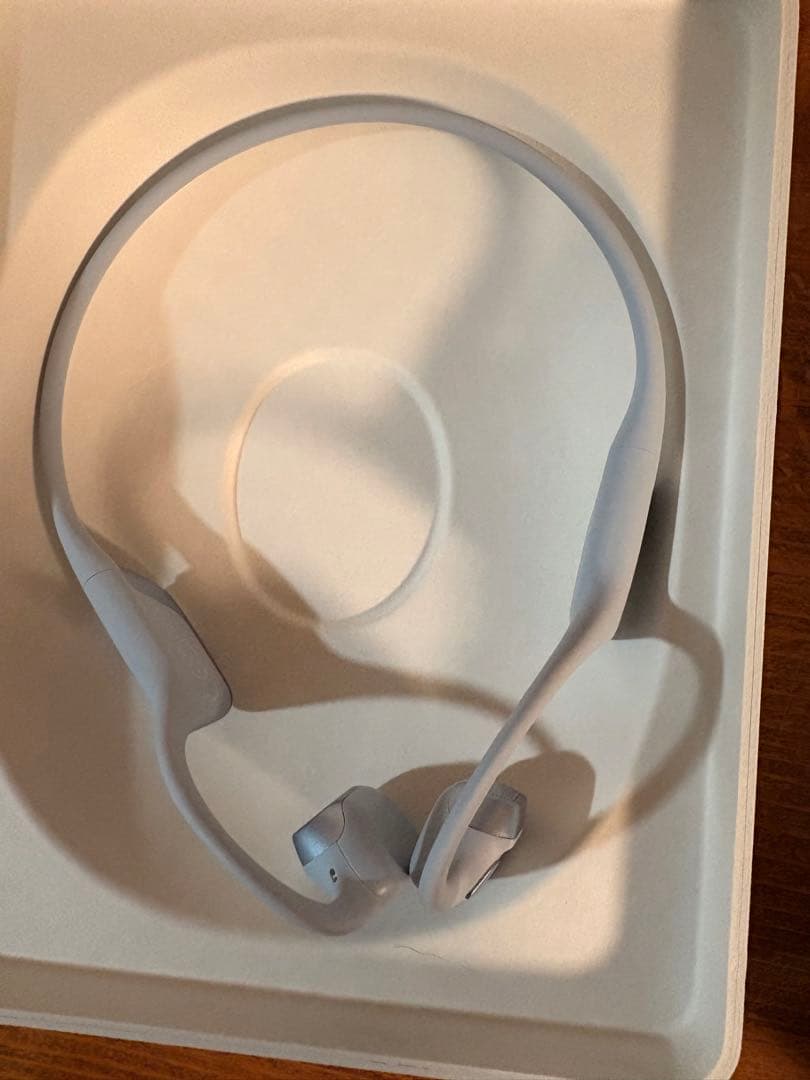 SHOKZ OPENRUN PRO 2 ブルー