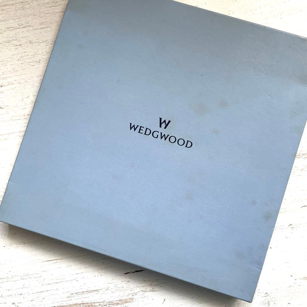 希少WEDG WOODインディア グリーン27cm ディナープレート2枚セット