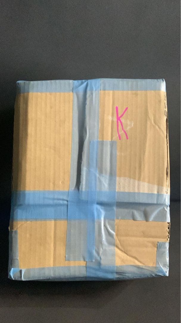 NISSAN 充電ケーブル AC200V 15A