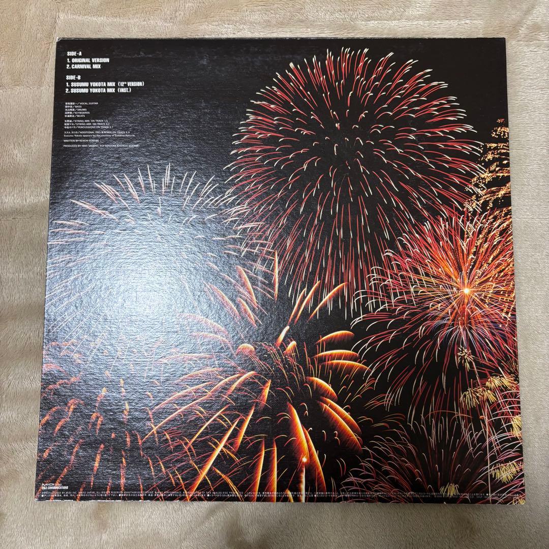 SUNNY DAY SERVICE / サニーデーサービス　LPレコードまとめ売