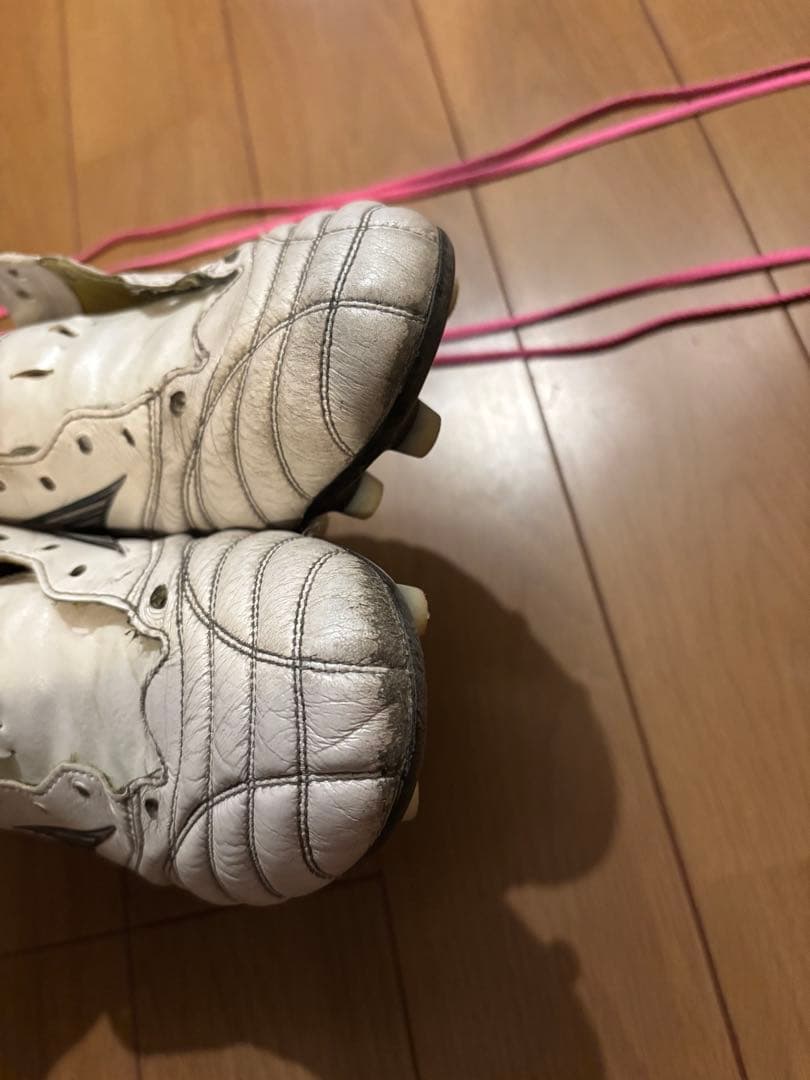 25センチ　モレリアネオIV モレリアネオ4