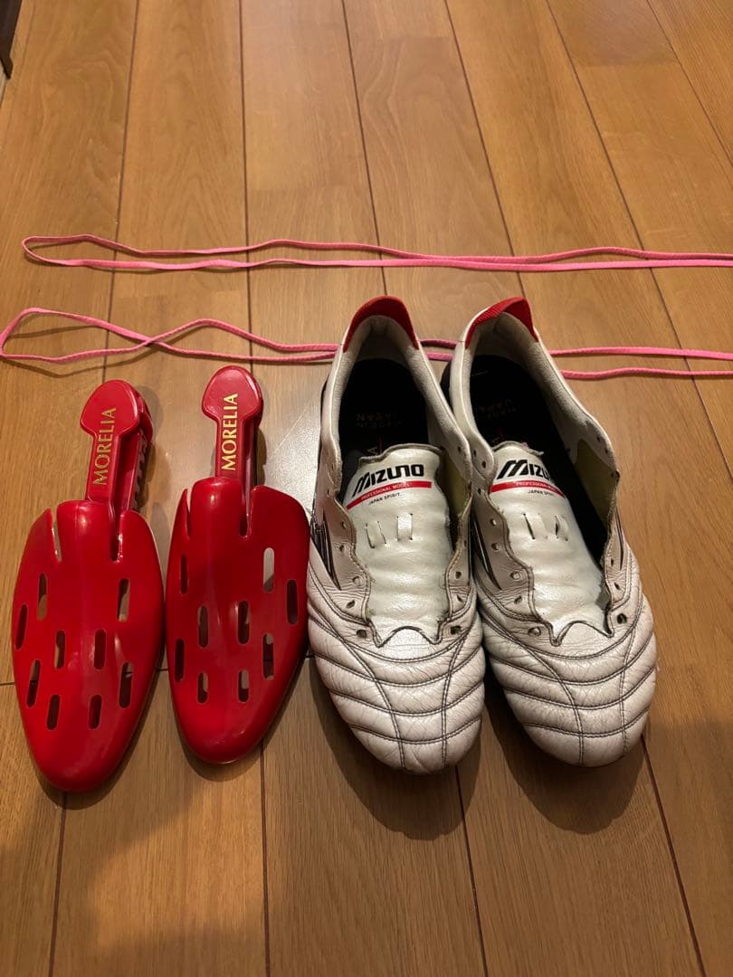 25センチ　モレリアネオIV モレリアネオ4