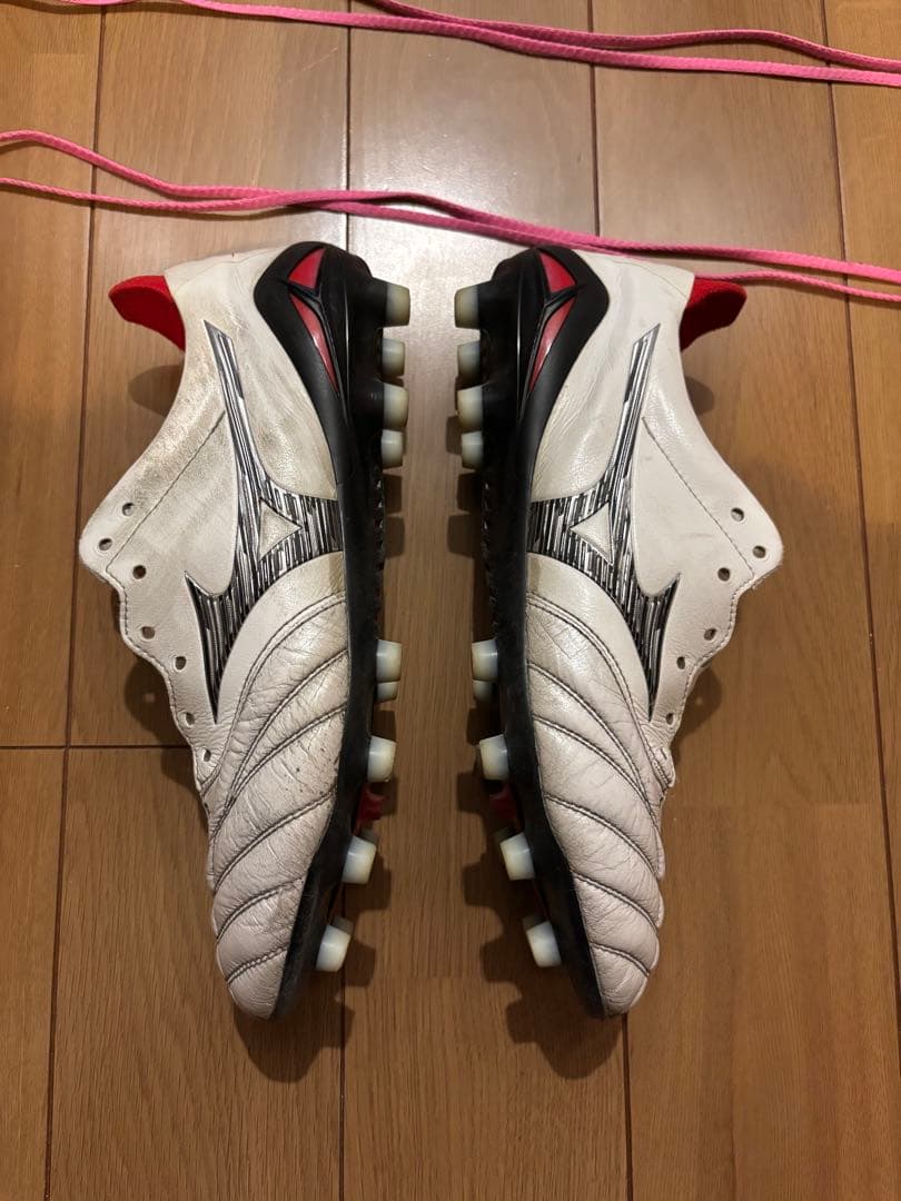 25センチ　モレリアネオIV モレリアネオ4