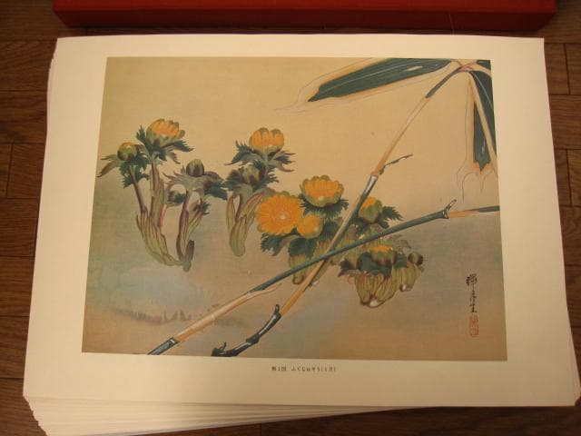 瑞月草花画譜　池田瑞月　限定700部