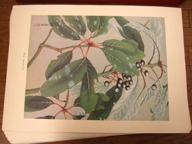 瑞月草花画譜　池田瑞月　限定700部