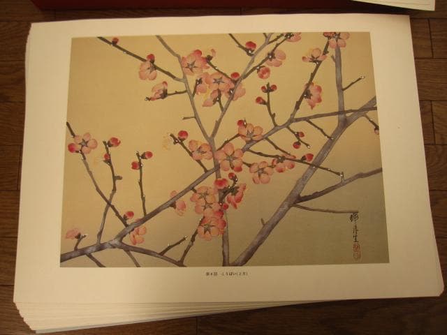 瑞月草花画譜　池田瑞月　限定700部