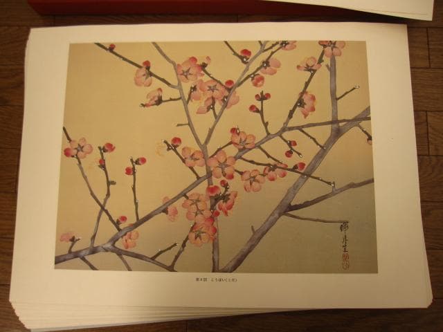 瑞月草花画譜　池田瑞月　限定700部