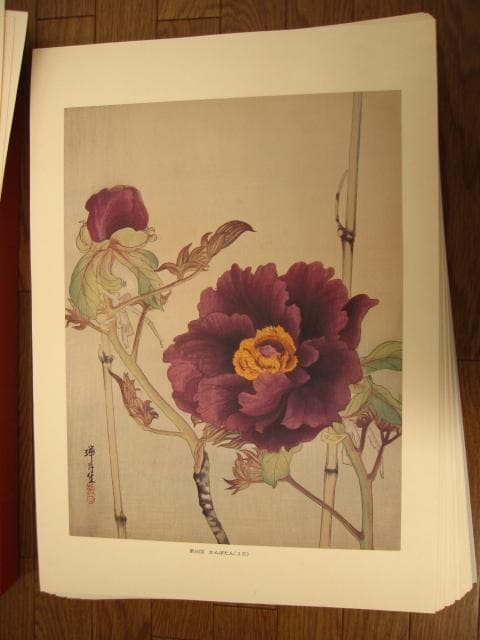 瑞月草花画譜　池田瑞月　限定700部