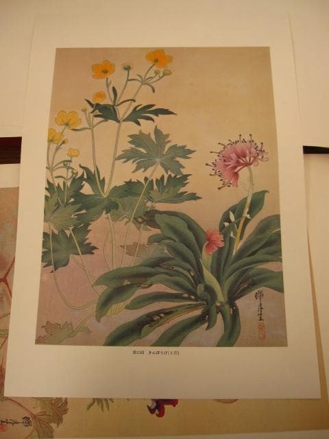 瑞月草花画譜　池田瑞月　限定700部