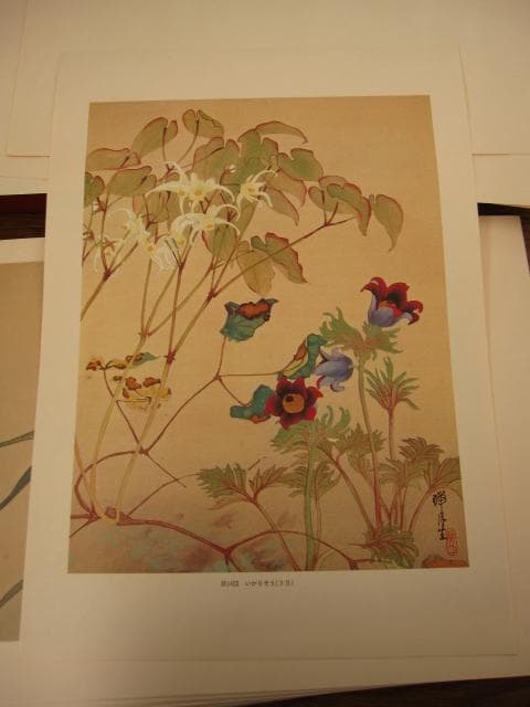 瑞月草花画譜　池田瑞月　限定700部