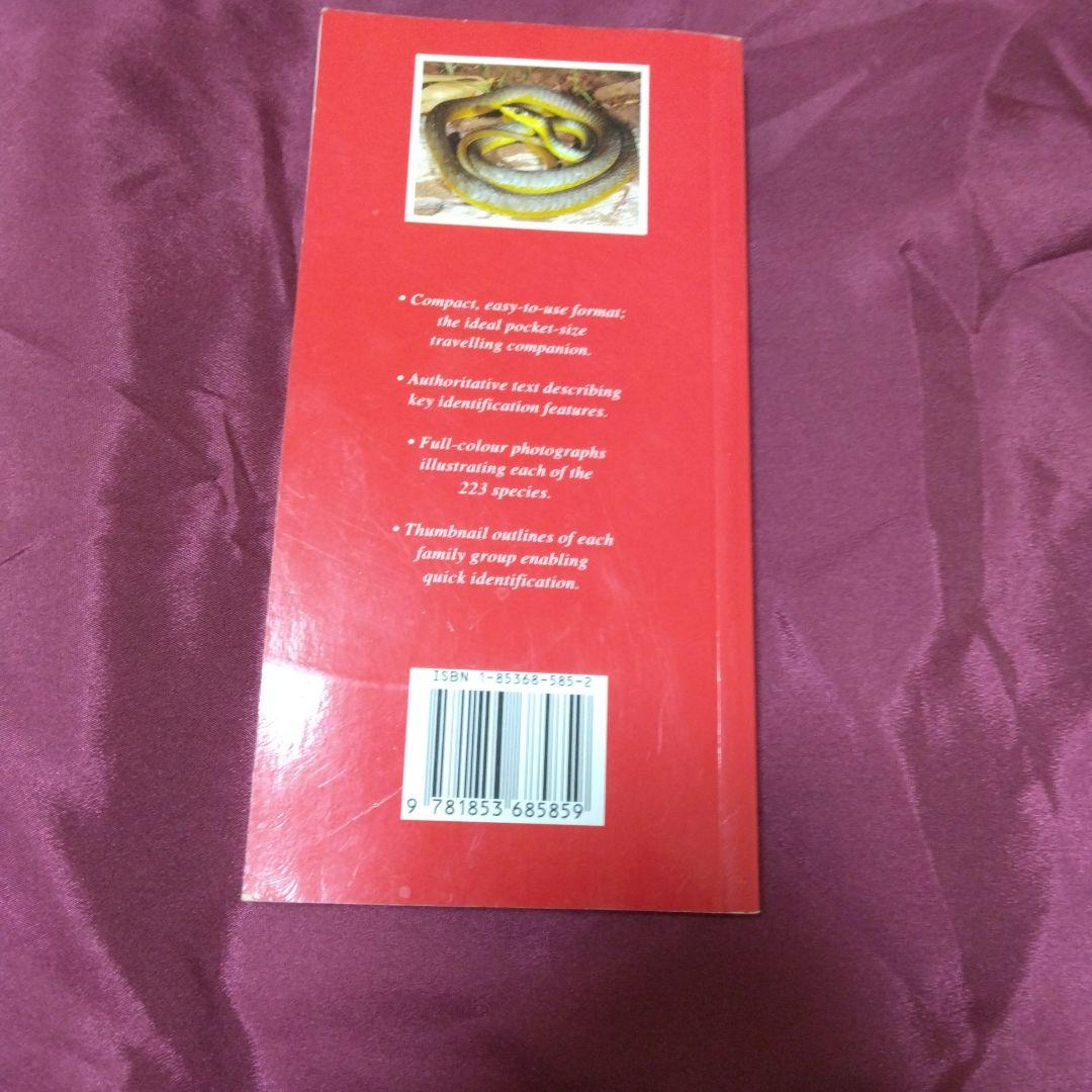 オーストラリアの蛇(爬虫類)写真図鑑