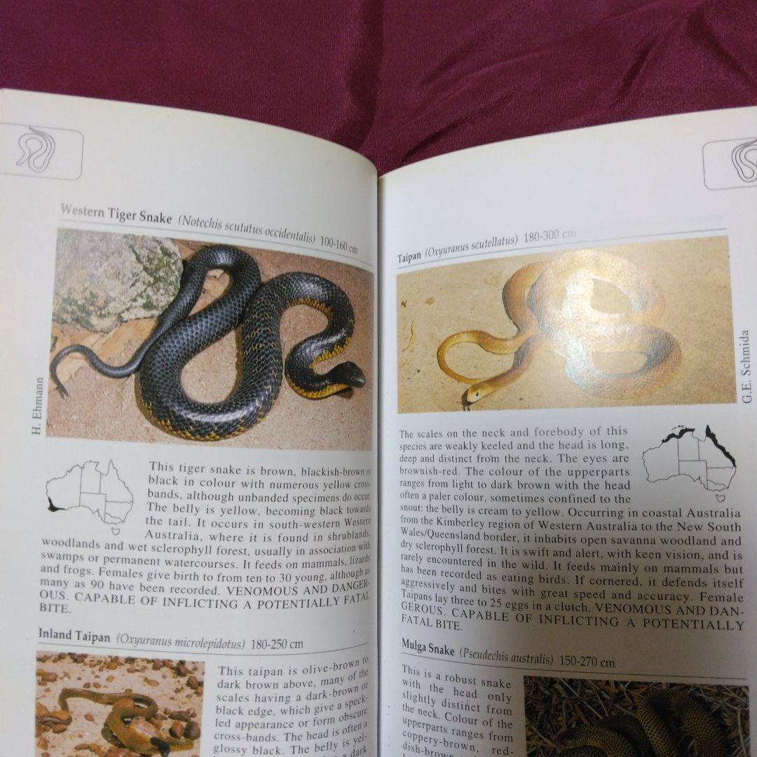 オーストラリアの蛇(爬虫類)写真図鑑