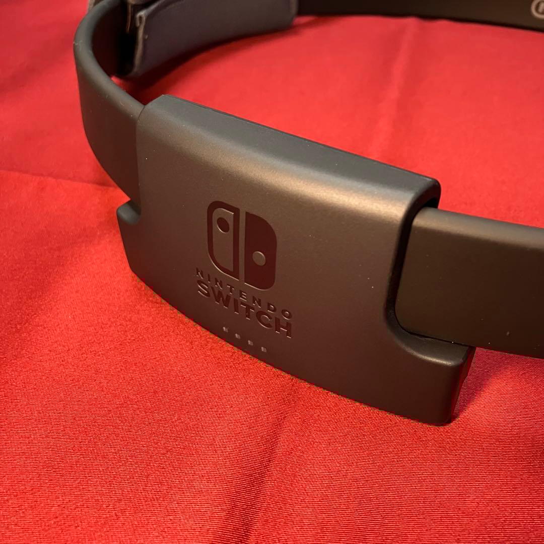 Nintendo Switch 本体 リングフィット アドベンチャー セット