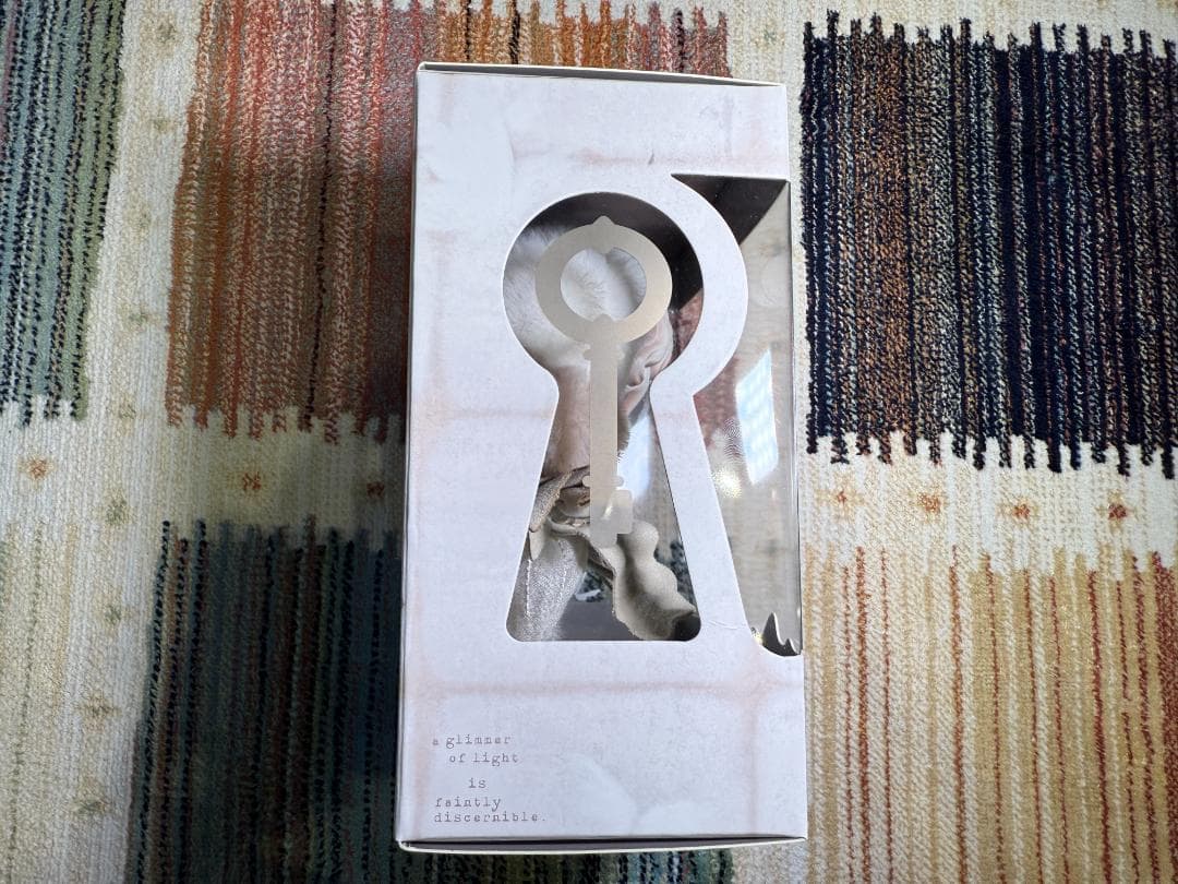 【上海限定】SKULLPANDA Cage-Uncage ぬいぐるみペンダント