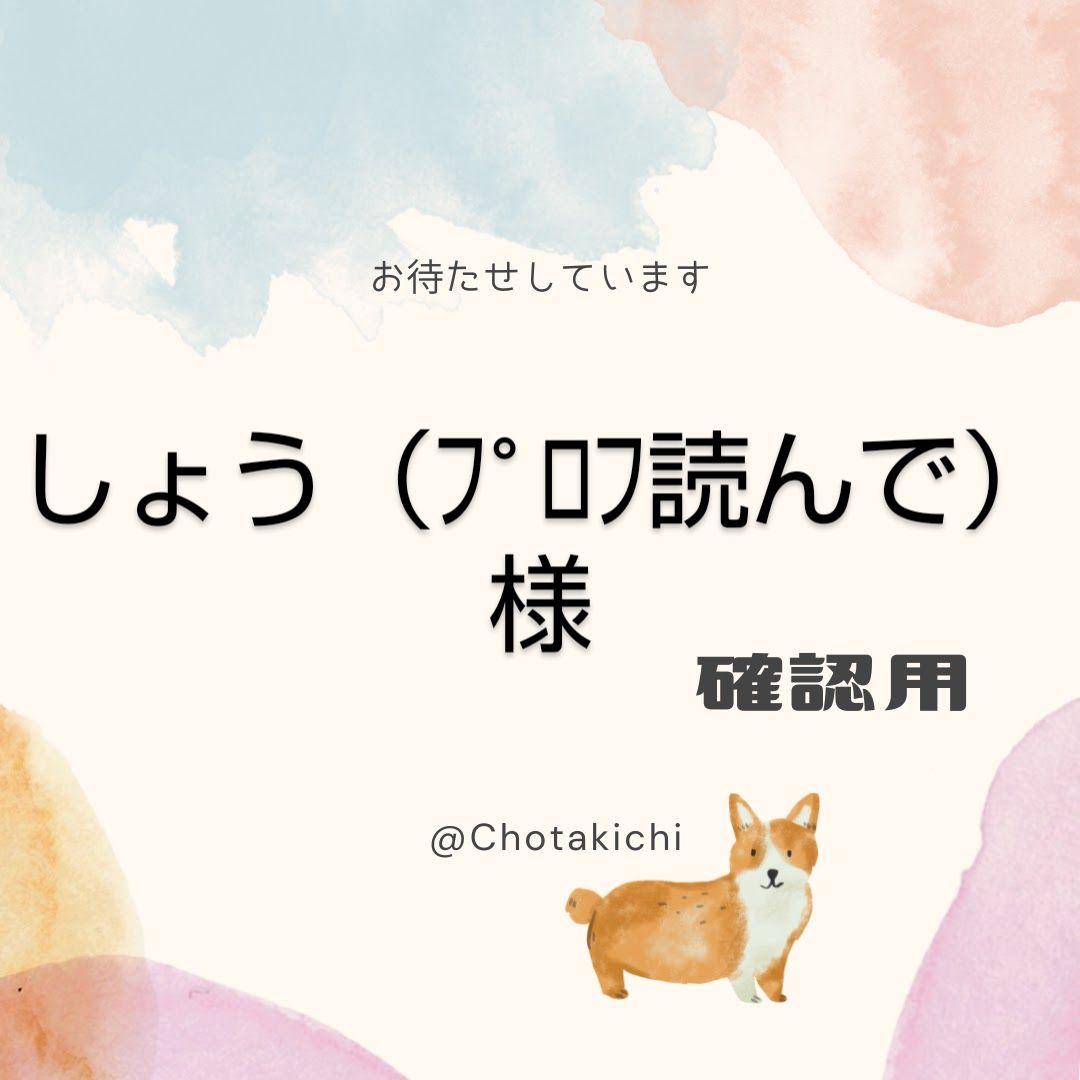 【しょう（プロフ読んで）】がま口マルチケース