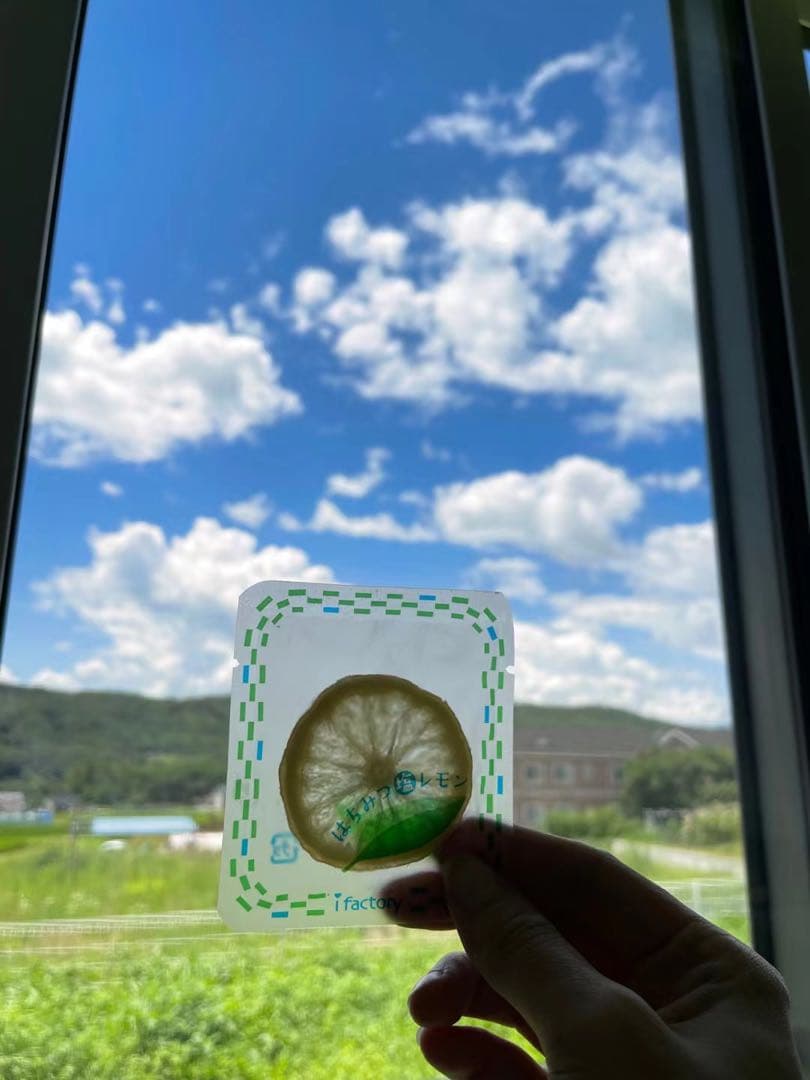 KVK 浄水カートリッジ PZS160 18本 ミミリン