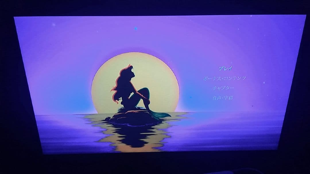 ディズニー、アニメや映画セット　ブルーレイ＆DVD　全て二枚組　❤　２枚組