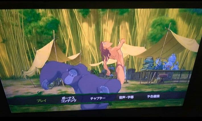 ディズニー、アニメや映画セット　ブルーレイ＆DVD　全て二枚組　❤　２枚組