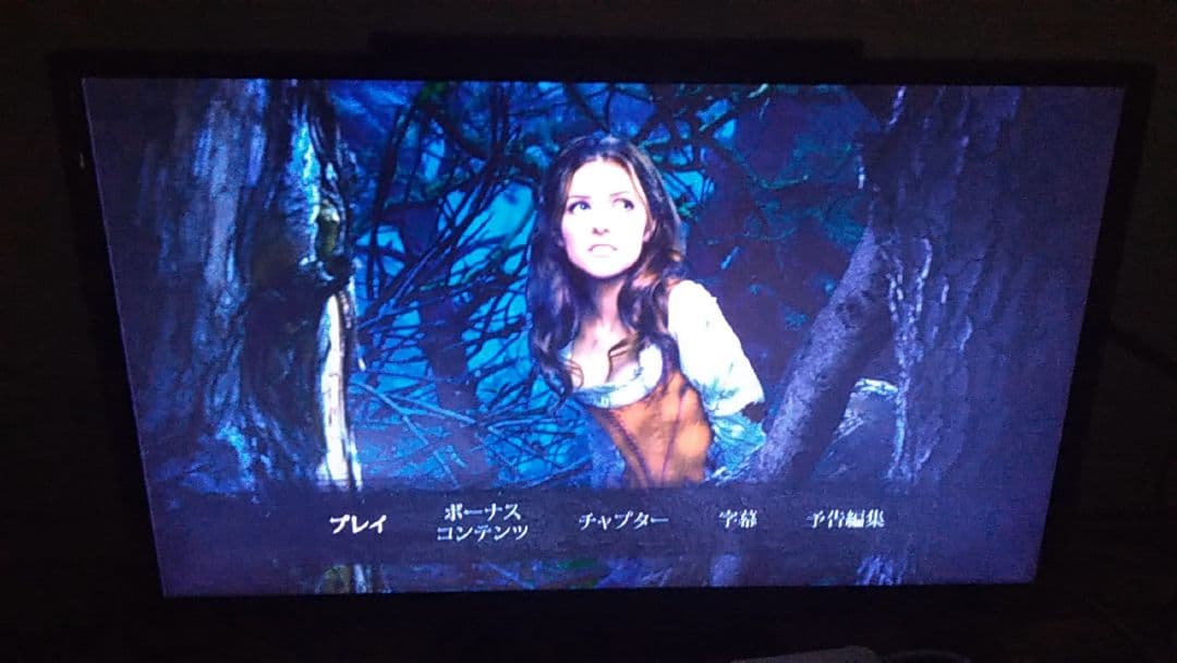 ディズニー、アニメや映画セット　ブルーレイ＆DVD　全て二枚組　❤　２枚組