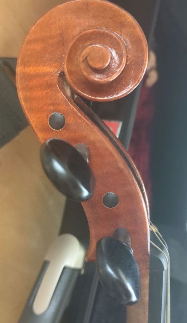 美品 Nicolo Santiバイオリン CROSSROCKケース・付属品付き