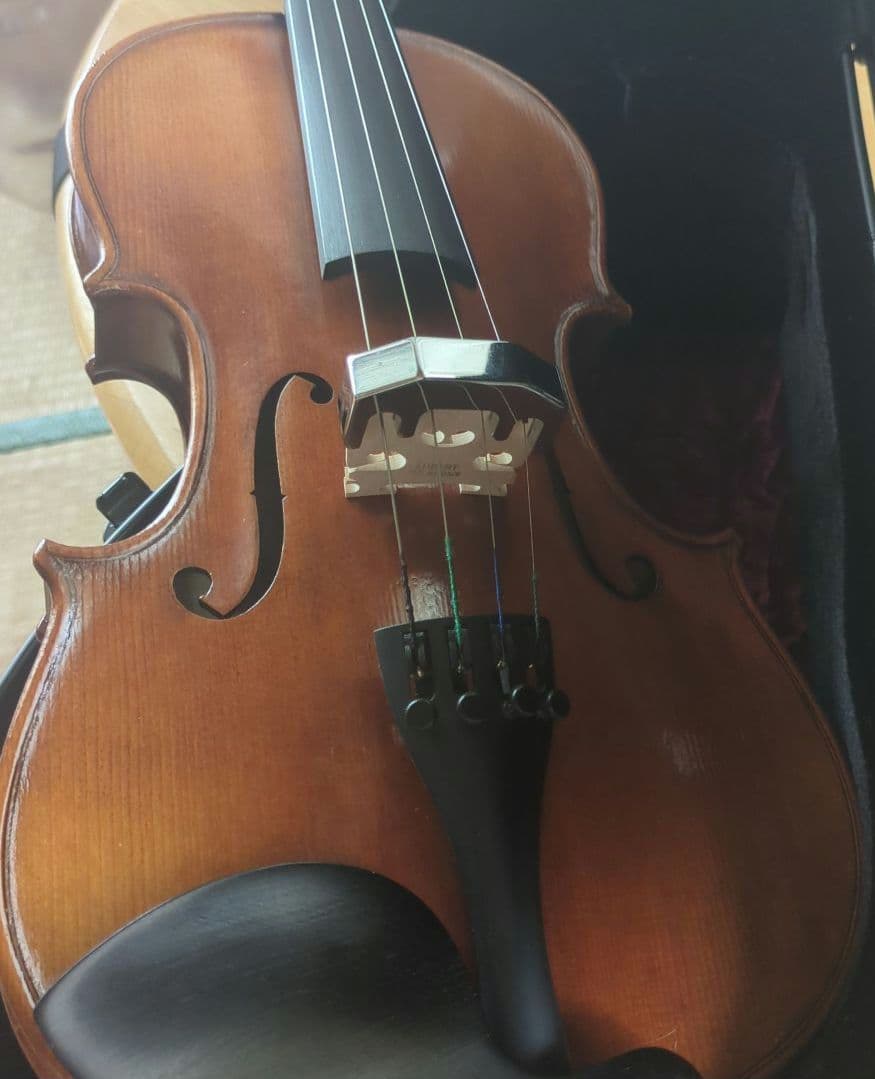 美品 Nicolo Santiバイオリン CROSSROCKケース・付属品付き