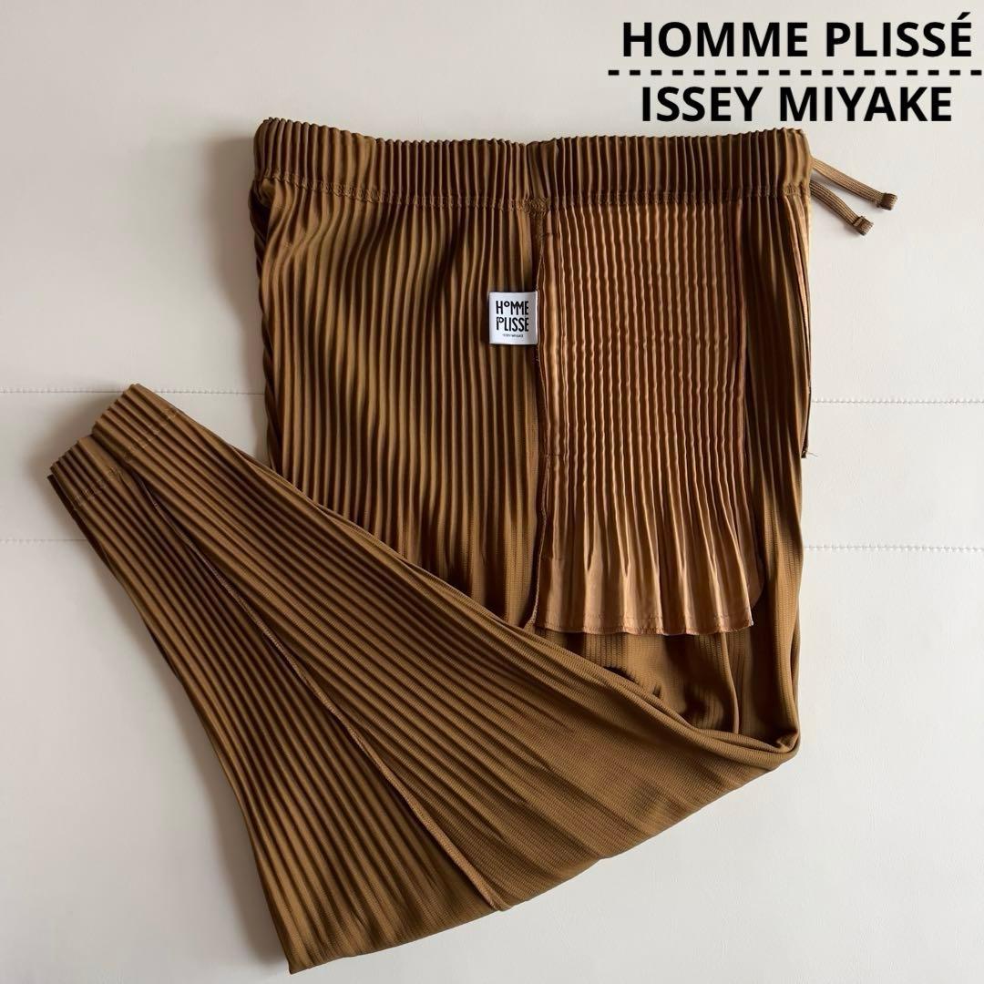 イッセイミヤケ HOMME PLISSE プリーツパンツ サルエルパンツ BR