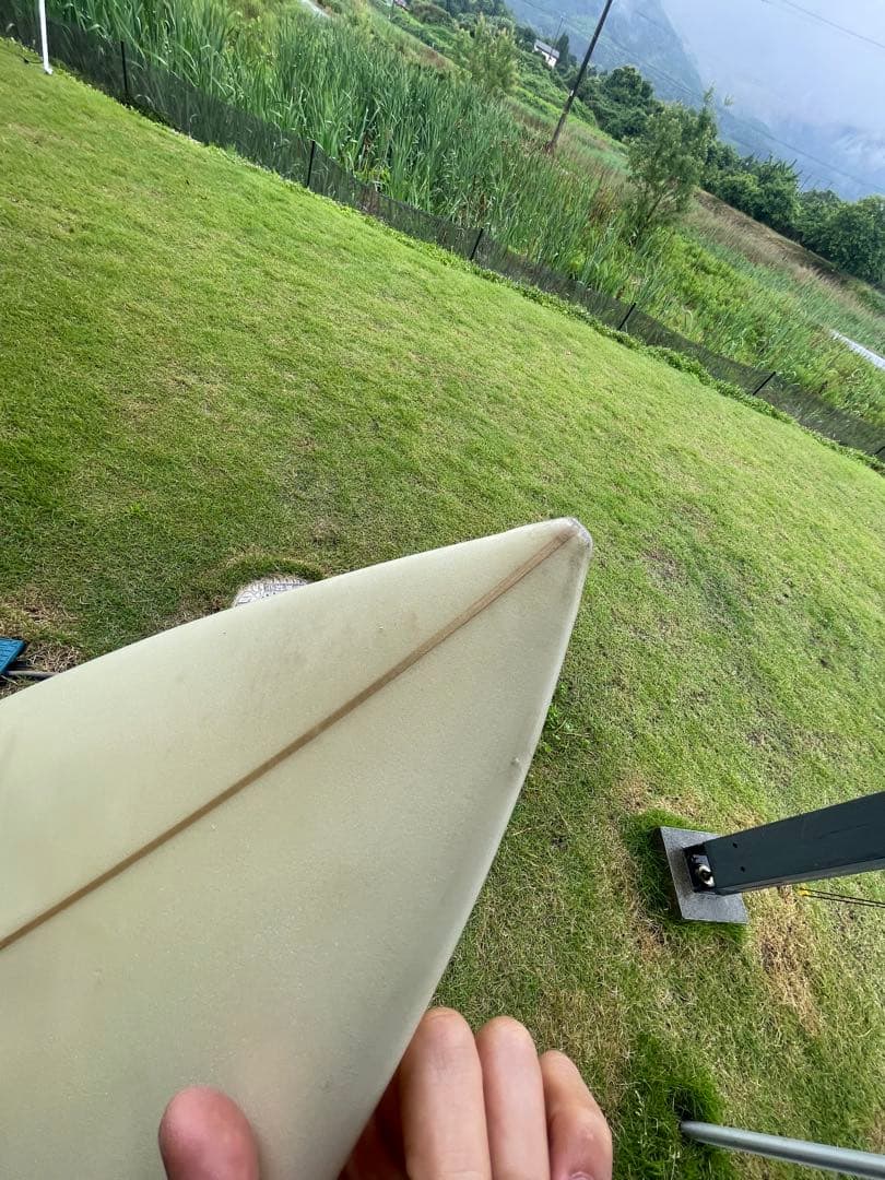 AL MERRICK ダンプスターダイバー