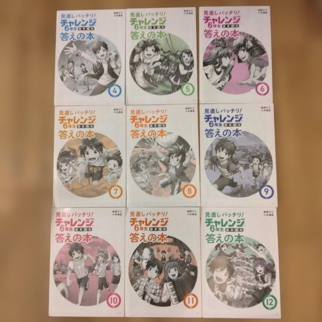 進研ゼミ小学６年生　１年分まとめ売り