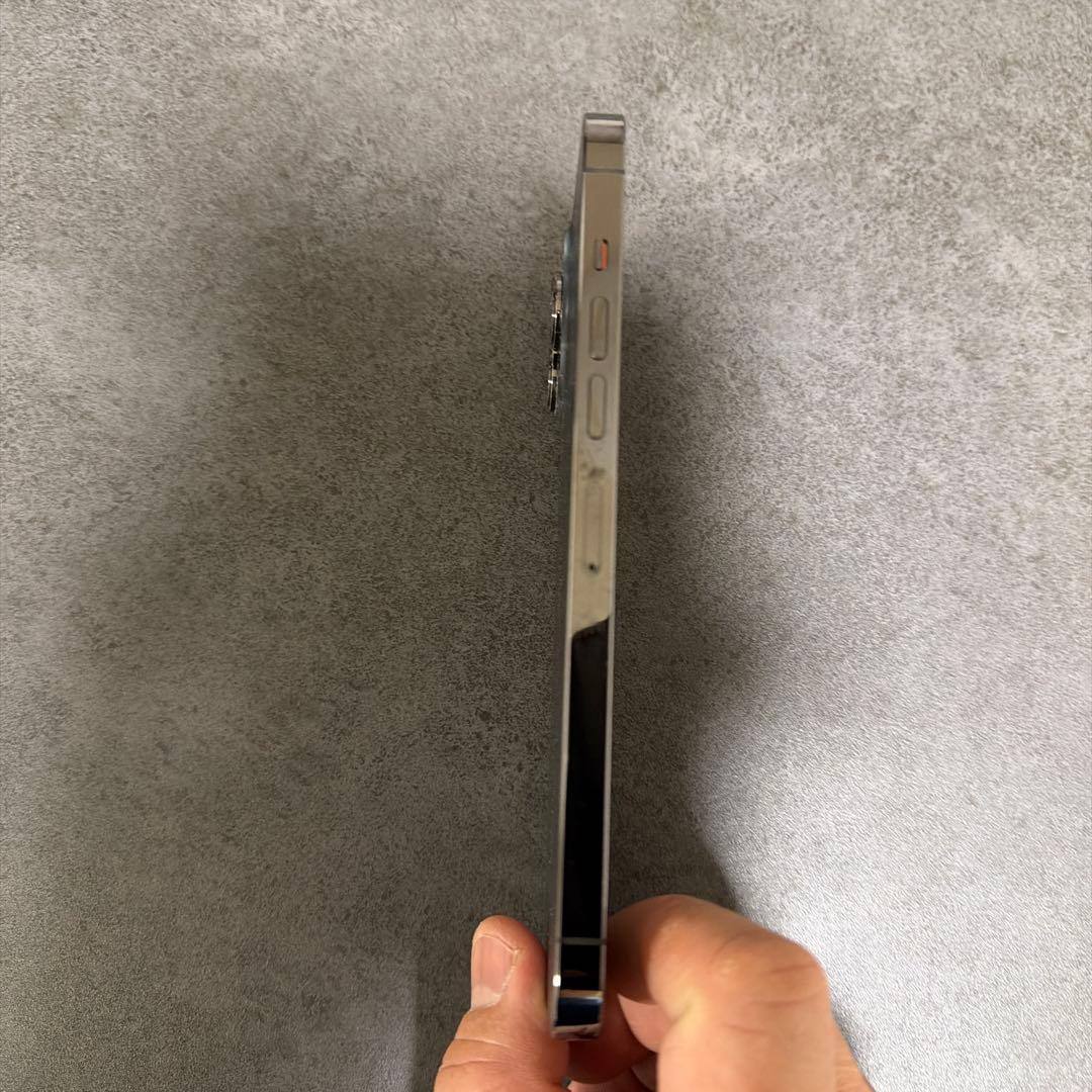 銀林檎　iPhone 13 Pro Max 256GB グラファイト