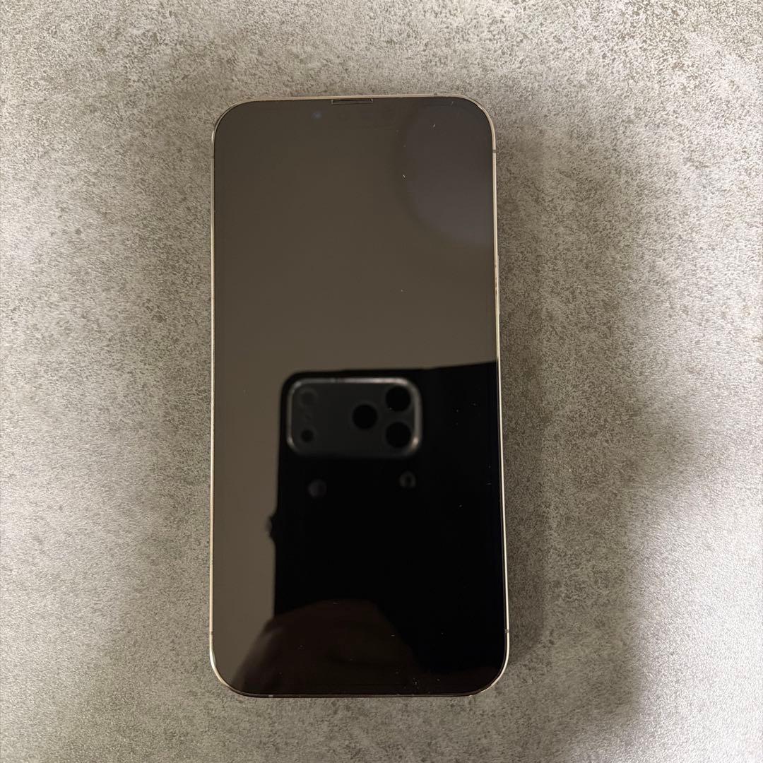 銀林檎　iPhone 13 Pro Max 256GB グラファイト