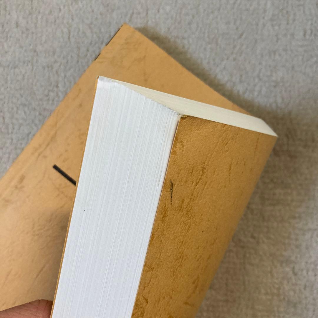 駿台テキスト 化学特講(総合実力完成)