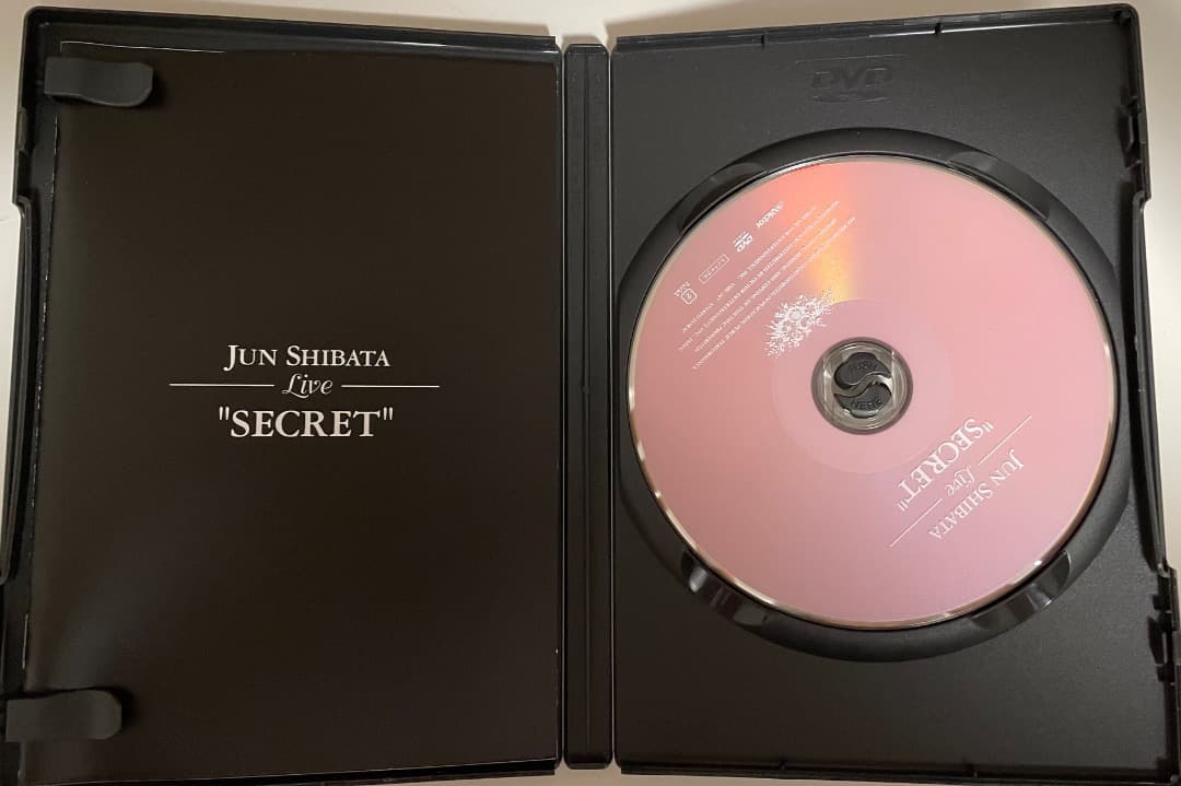 柴田淳ライブセット