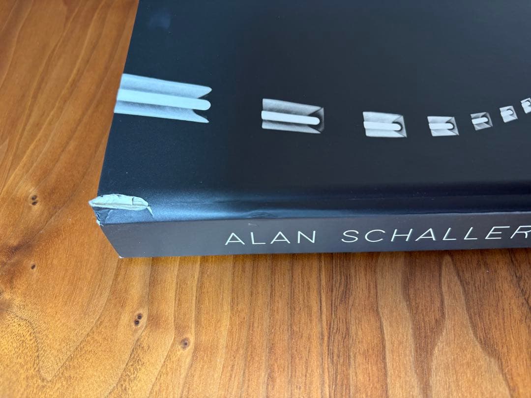 Alan Schaller Metropolis 写真集