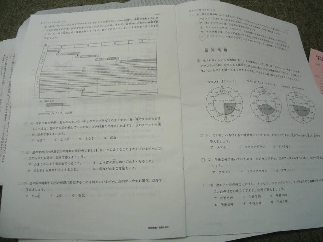 日能研　4年　小4　学習力育成カリテ19回（国算理社）　2016年版