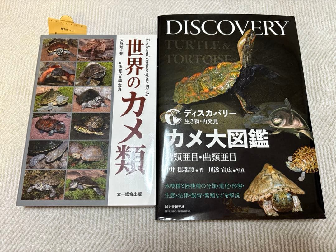 カメ大図鑑2冊