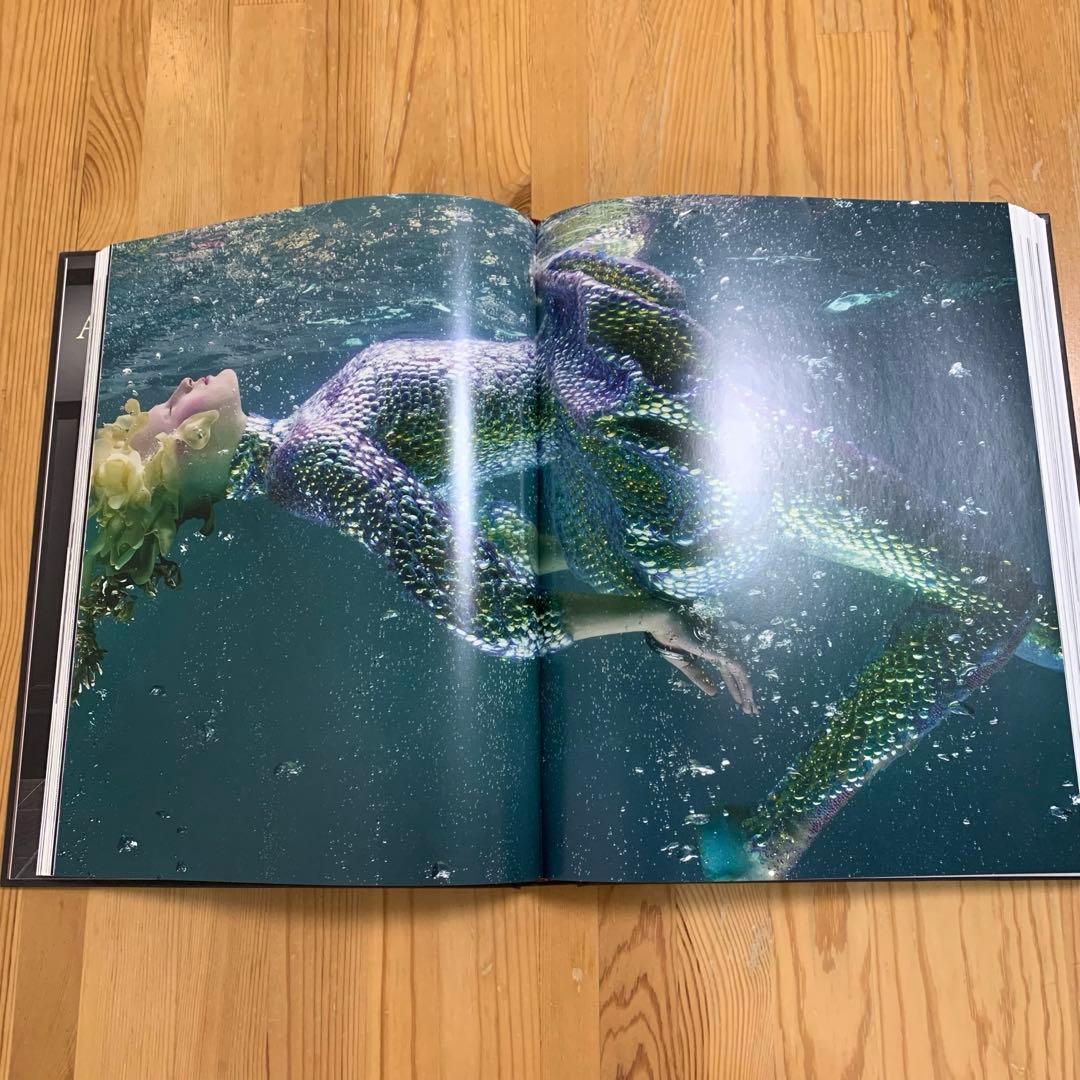 【初版】 ALEXANDER McQUEEN