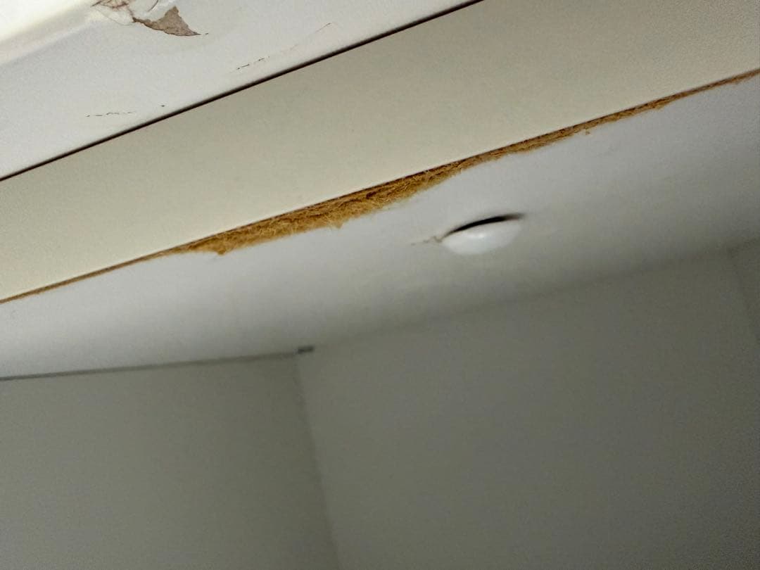 最終価格　売り切り　ニトリ　キッチンボード　カップボード　ソレル80