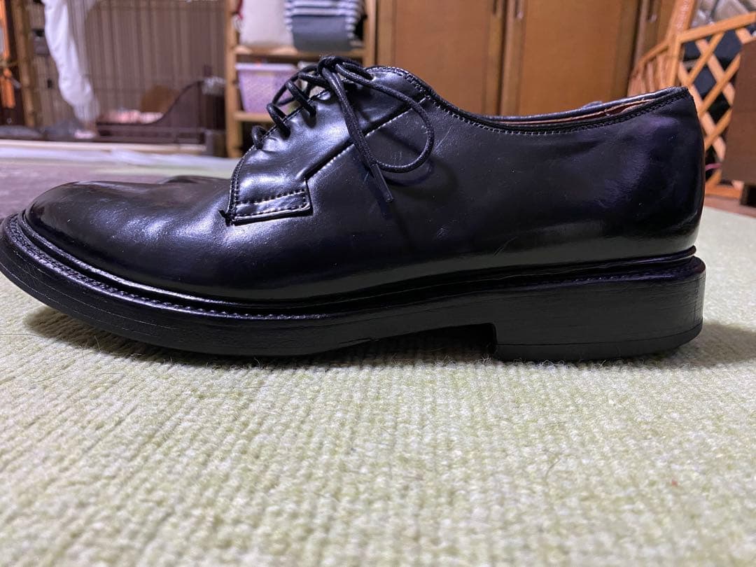 【コードバン】Allen Edmonds Leeds (US6.5E)