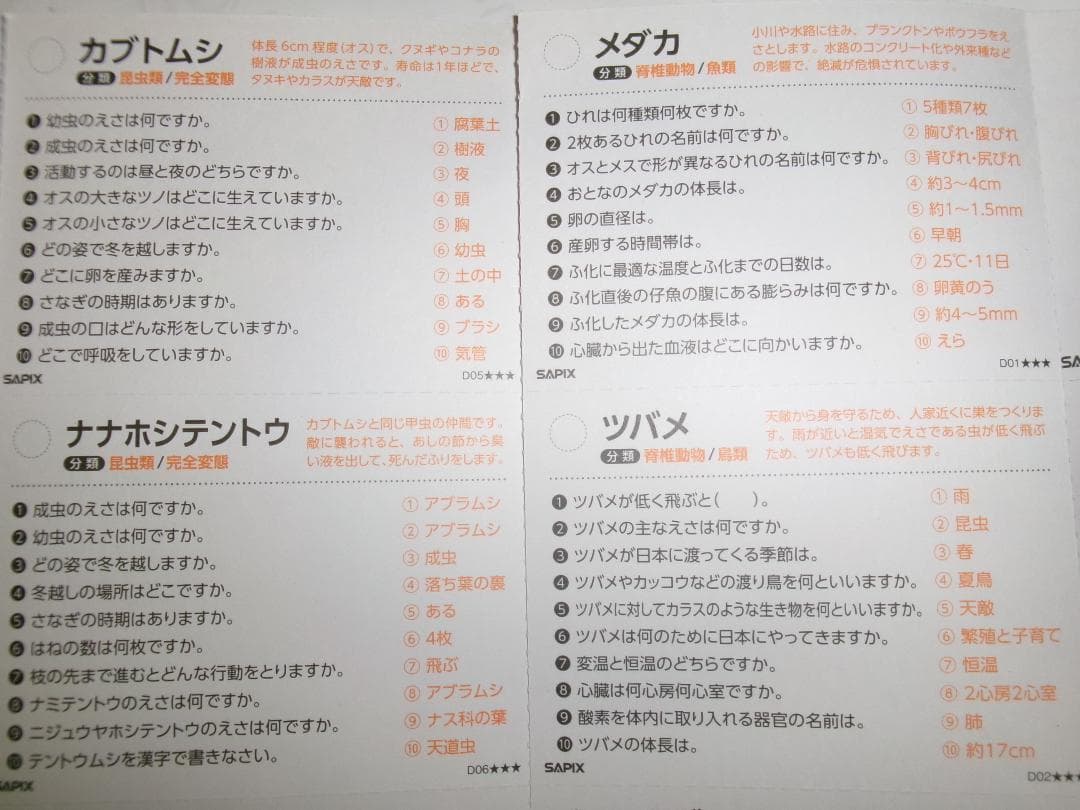 サピックス＊４年５年６年＊理科／生物（動物 植物）暗記カード・全８０枚完全版