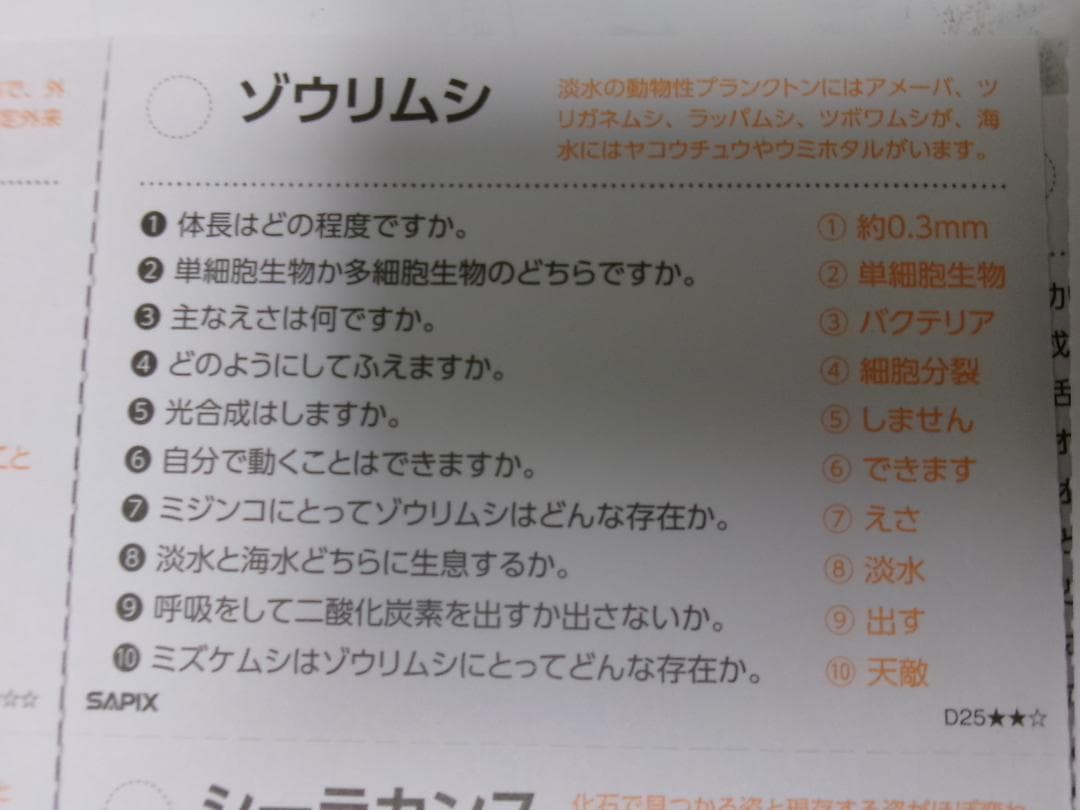 サピックス＊４年５年６年＊理科／生物（動物 植物）暗記カード・全８０枚完全版
